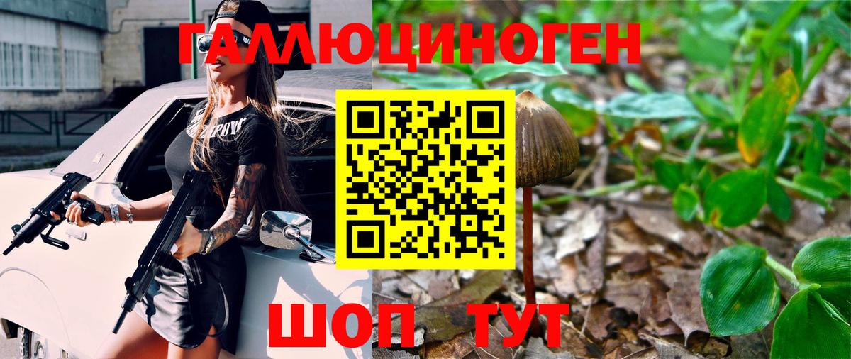 Галлюциногенные грибы GOLDEN TEACHER Грозный