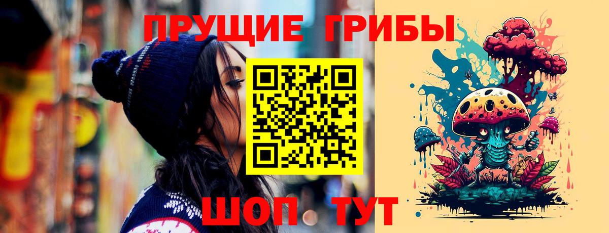 Псилоцибиновые грибы мицелий  Псилоцибиновые грибы GOLDEN TEACHER  Вход с VPN  Грозный 