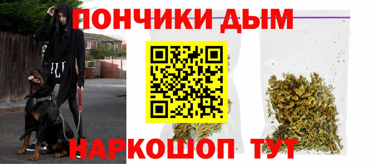 Каннабис OG Kush Грозный